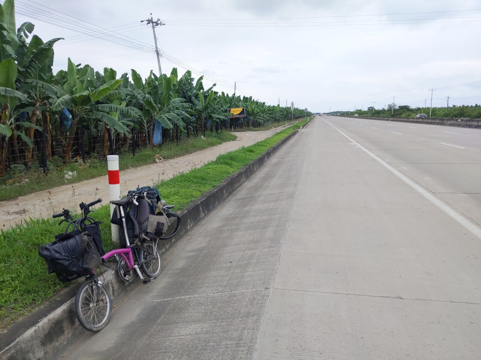 Photo of a fully-loaded Brompton bicycle leaning against a curb in a wide shoulder on a major highway. Along the road, stretching to the horizon, are banana trees behind a fence